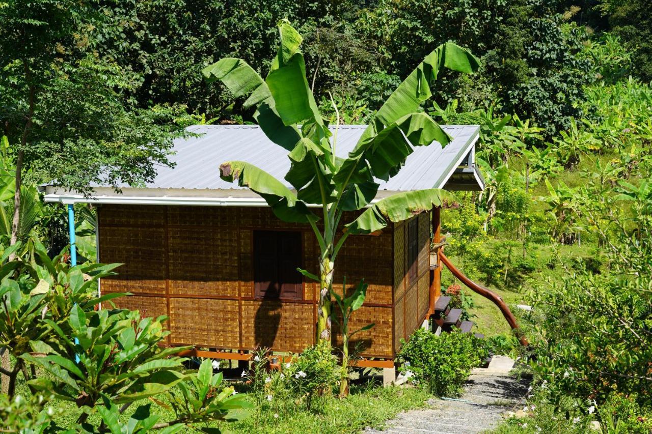 True Nature Chiang Mai - Yoga & Meditation Homestay Retreat المظهر الخارجي الصورة