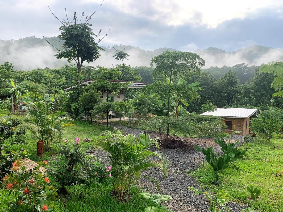 True Nature Chiang Mai - Yoga & Meditation Homestay Retreat المظهر الخارجي الصورة