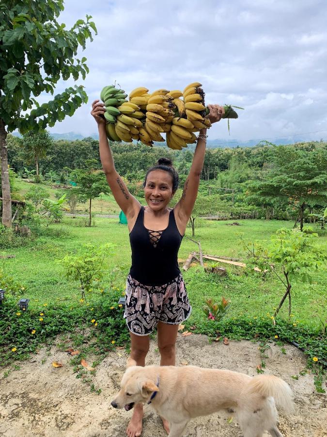 True Nature Chiang Mai - Yoga & Meditation Homestay Retreat المظهر الخارجي الصورة