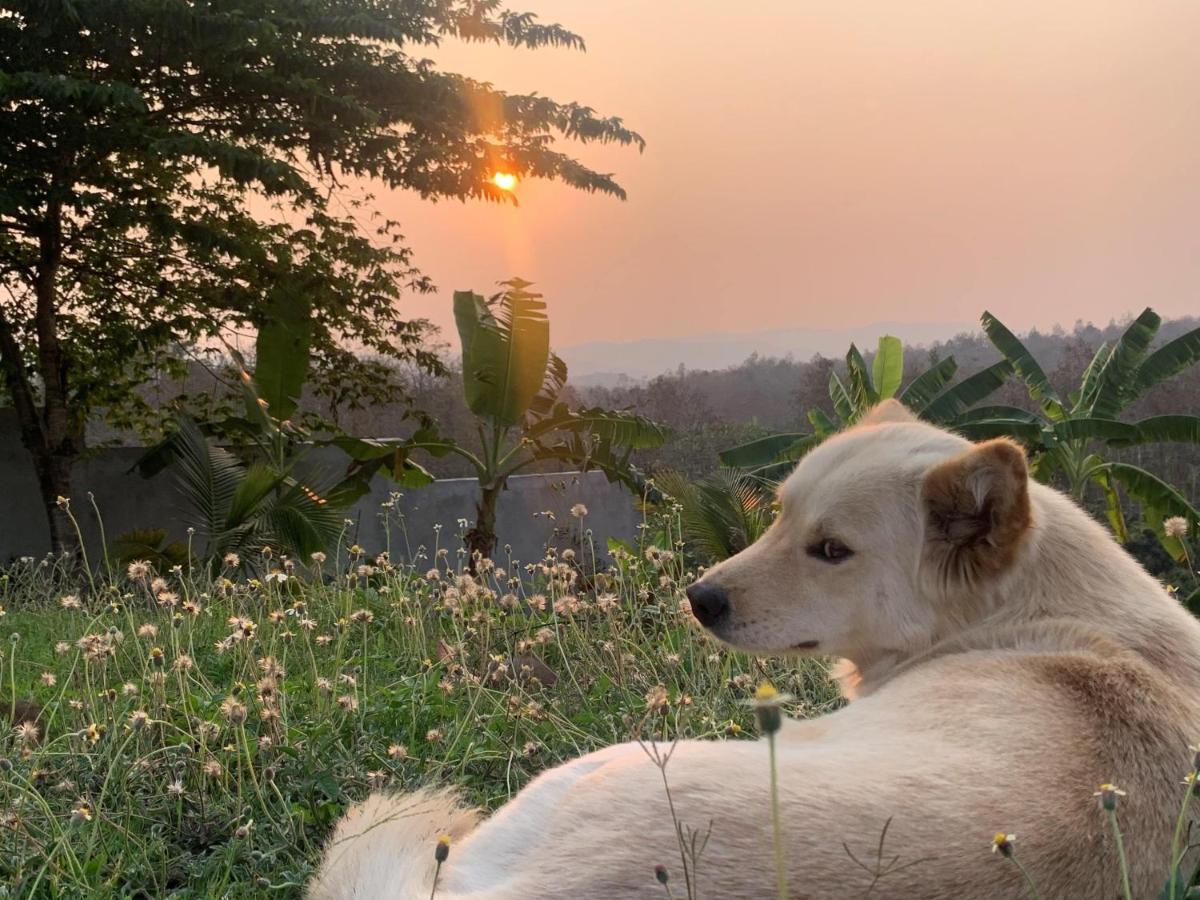 True Nature Chiang Mai - Yoga & Meditation Homestay Retreat المظهر الخارجي الصورة