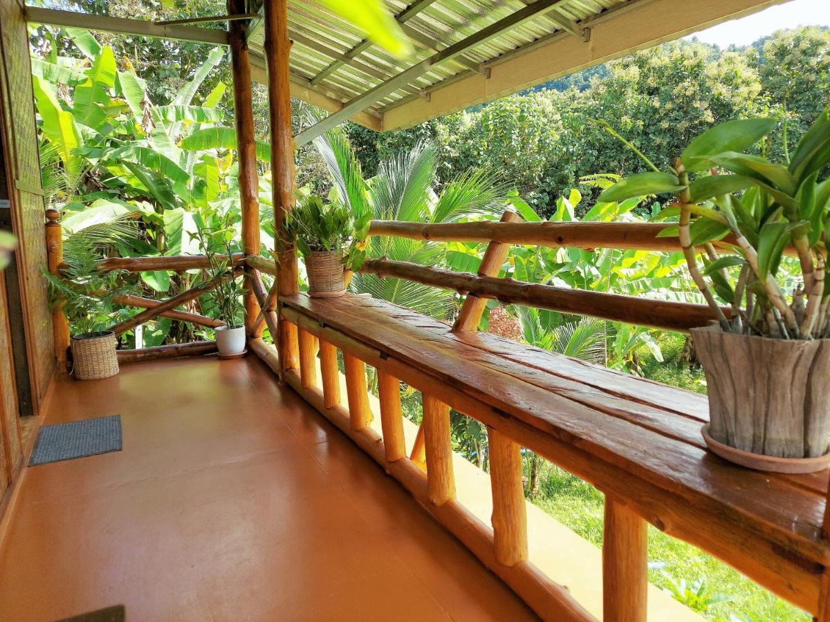 True Nature Chiang Mai - Yoga & Meditation Homestay Retreat المظهر الخارجي الصورة